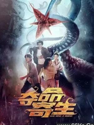 梦想的力量